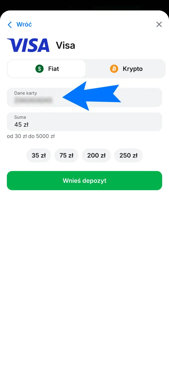 Wypełnij pola płatności kartą Visa lub Mastercard w panelu doładowania 1w.