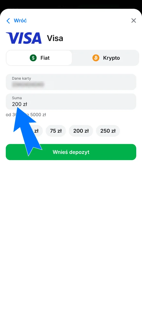 Podaj kwotę wpłaty kartą Visa lub Mastercard i przejdź do doładowania w 1w.